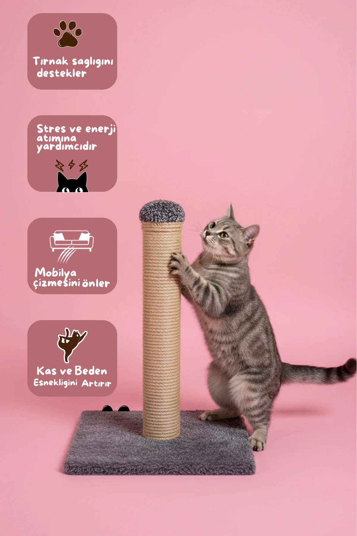 Kedi Tırmalama Tahtası 42 cm – 30x30 Taban Doğal Sisal İpli Güçlü GövdeMobilya Çizilmesini Önler